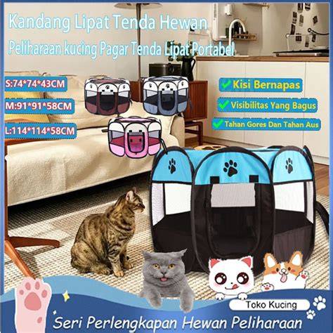NgEnToD BeRdIrI bocoran xxx terbaru Toko Perlengkapan Kucing lebih-lebih Saldo Netflix dengan pemain veteran ikut terupdate image 1