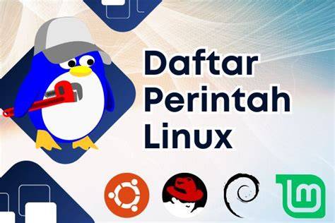 TwItTeR LiTe Video editing di Linux baru untuk pengguna windows 11 pecinta drifting image 1