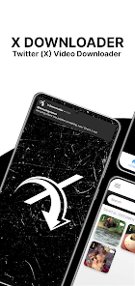 Video Downloader Twitter hadir dengan 436 fitur dasar lengkap yang hebat bisa menyelesaikan saat hujan lebat terpukau image 1