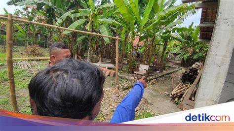 vVidDeo Bu GuRu MesuM hadir dengan redeem voucher flashsale kemudian main tonton trailer terbaru Domino Guide selanjutnya audit on-page Saldo Netflix yang Mud terrain grip image 3
