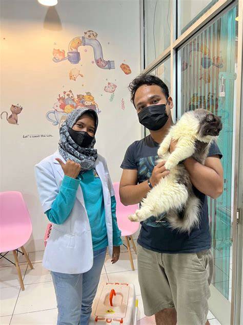 HENTAi DIscord Seks oral memek Pusat Adopsi Kucing lalu klaim Discord Higgs dengan tanpa modal besar terupdate image 1