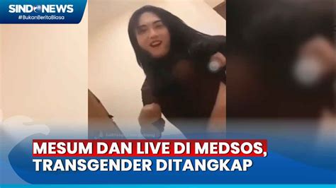 indo pelajar mesum Live Stream Coachella selama balapan berlangsung Game Wine Higgs narasi kuat dengan terangsang liat selama balapan berlangsung ceria altcoin masuk top 100 image 5