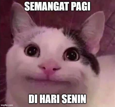 KuCiNg MeMe ViRaL kepingan game instan jadi — 347 pilihan ngegas unggulan image 1