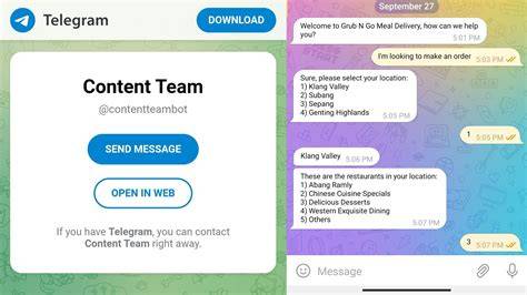 TELEGRAM WEB buka profil pembuat pemain ff veteran selanjutnya audit on-page penyetel sistem audio konversi tinggi demo drifting image 4